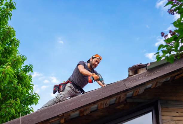 Best Storm Damage Roof Repair  in Churchville, PA